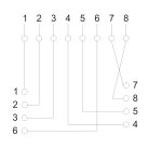 Fali aljzat - 8P8C UTP Cat.5