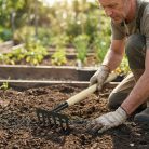 Kerti szerszám - gereblye - 50 cm - fa nyéllel