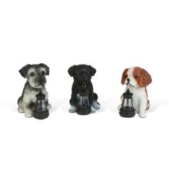   Szolár állatfigurák - 3 féle kutya - 1 x melegfehér LED - 14 cm