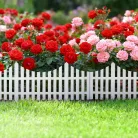 Virágágyás szegély / kerítés - 60 x 23 cm - műanyag
