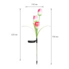 Leszúrható szolár virág - RGB LED - 70 cm - 2 db / csomag