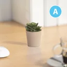 Műnövény dekoráció - cserepes - 6 x 9 cm - 6 féle