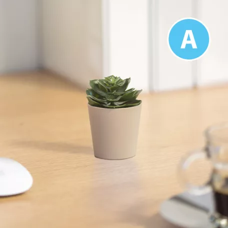 Műnövény dekoráció - cserepes - 6 x 9 cm - 6 féle