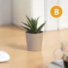 Műnövény dekoráció - cserepes - 6 x 9 cm - 6 féle