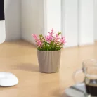 Műnövény dekoráció - cserepes - 8 x 11 cm - 5 féle