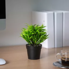   Műnövény dekoráció - selyemfű - zöld - 15 x 22 cm - 3 féle