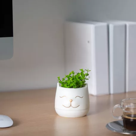 Műnövény dekoráció - macskafej - 9 x 14 cm - 3 féle