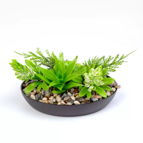 Műnövény dekoráció - tál - 15 x 10 cm - 3 féle