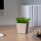 Műnövény dekoráció - cserepes - 10 x 16 cm - 3 féle