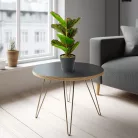 Műnövény dekoráció - zebralevél - zöld/fekete - 34 x 9 cm