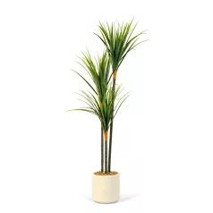Műnövény dekoráció - Dracaena Marginata - zöld - 1,2 m