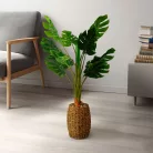 Műnövény dekoráció - filodendron - 1 m