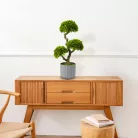 Műnövény dekoráció - bonsai - 55 x 27 cm