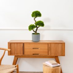 Műnövény dekoráció - bonsai - 55 x 27 cm