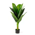 Műnövény dekoráció - colocasia - 100 cm