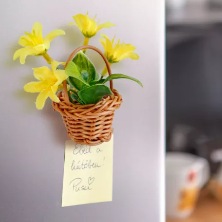 Műnövény dekoráció - mágneses - többféle - 7 x 4,7 x 4,7 cm