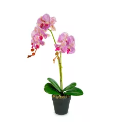 Műnövény dekoráció - orchidea - 2 féle - 54 cm