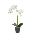 Műnövény dekoráció - orchidea - 2 féle - 54 cm