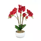 Műnövény dekoráció - orchidea - 5 féle - 56 cm