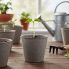 Palántanevelő cserép - Ø8 cm - kerek, papír - 10 db / csomag