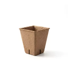   Palántanevelő cserép - 6 x 6 cm - négyzet, papír - 12 db / csomag
