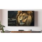 DIGISTAR C HD DVB-C HDTV vevőegység