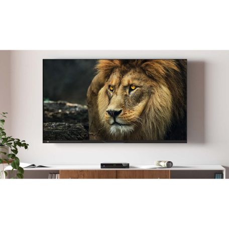 DIGISTAR C HD DVB-C HDTV vevőegység