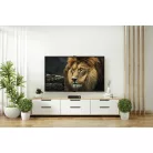 digiHD TS 11 HDTV DVB-S set-top box