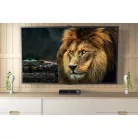 digiHD TS 13 HDTV műholdas vevőegység
