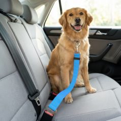 Autós póráz biztonsági övhöz - 45-70 cm, 3 szín