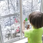 Karácsonyi habmatrica