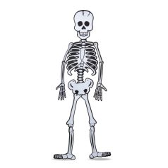   Halloween-i dekoráció - csontváz - habszivacs - 85 x 18 cm