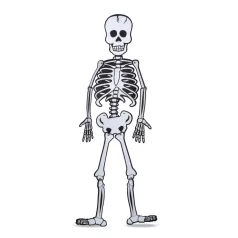   Halloween-i dekoráció - csontváz - habszivacs - 85 x 18 cm