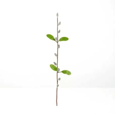 Barkaág - szálas - 58 cm