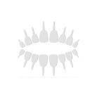 Halloween-i töklámpás fogak - 18 fog / csomag