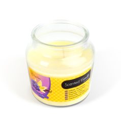 Illatgyertya - csupor fedővel - ibolya & vanília - 310 g