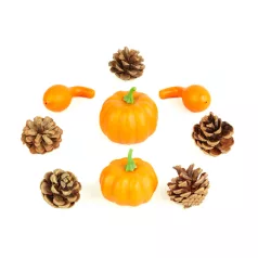   Őszi dekoráció - tök és toboz szett - 9 részes - 5-7 cm