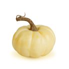 Őszi dekoráció - tök - 6 féle - műanyag