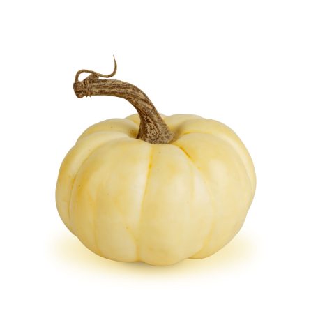 Őszi dekoráció - tök - 6 féle - műanyag