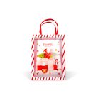 Karácsonyi ajándéktáska - 24 x 19,5 x 9,5 cm - 2 féle