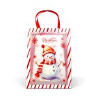 Karácsonyi ajándéktáska - 32 x 25 x 11 cm - 2 féle