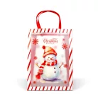Karácsonyi ajándéktáska - 32 x 25 x 11 cm - 2 féle