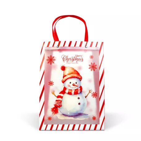 Karácsonyi ajándéktáska - 32 x 25 x 11 cm - 2 féle