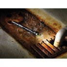 Zseblámpa LED LuxPremium / praktikus zseblámpa elemekkel és fényes CREE-LED-vel (100 lm, akár 5 óra égési idő, por- és fröccsenésálló IP54) fekete