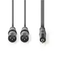 Szimmetrikus Audió Kábel | 2x XLR 3-tűs Dugasz | 3.5 mm Dugasz | Nikkelezett | 3.00 m | Kerek | PVC | Sötét Szürke | Kartondoboz