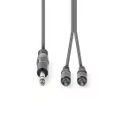 Sztereó audiokábel | 6.35 mm Dugasz | 2x RCA Dugasz | Nikkelezett | 3.00 m | Kerek | Sötét Szürke | Kartondoboz