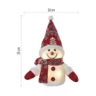 LED karácsonyi világító hóember, 25 cm, 3x AAA, beltéri, meleg fehér, időzítő