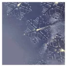 LED karácsonyi fényfüggöny – hópelyhek, 84 cm,  kültéri és beltéri, meleg fehér