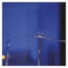 Öntapadó kampó – kettős, belső