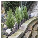 LED gallyak napelemmel, kültéri és beltér, meleg fehér